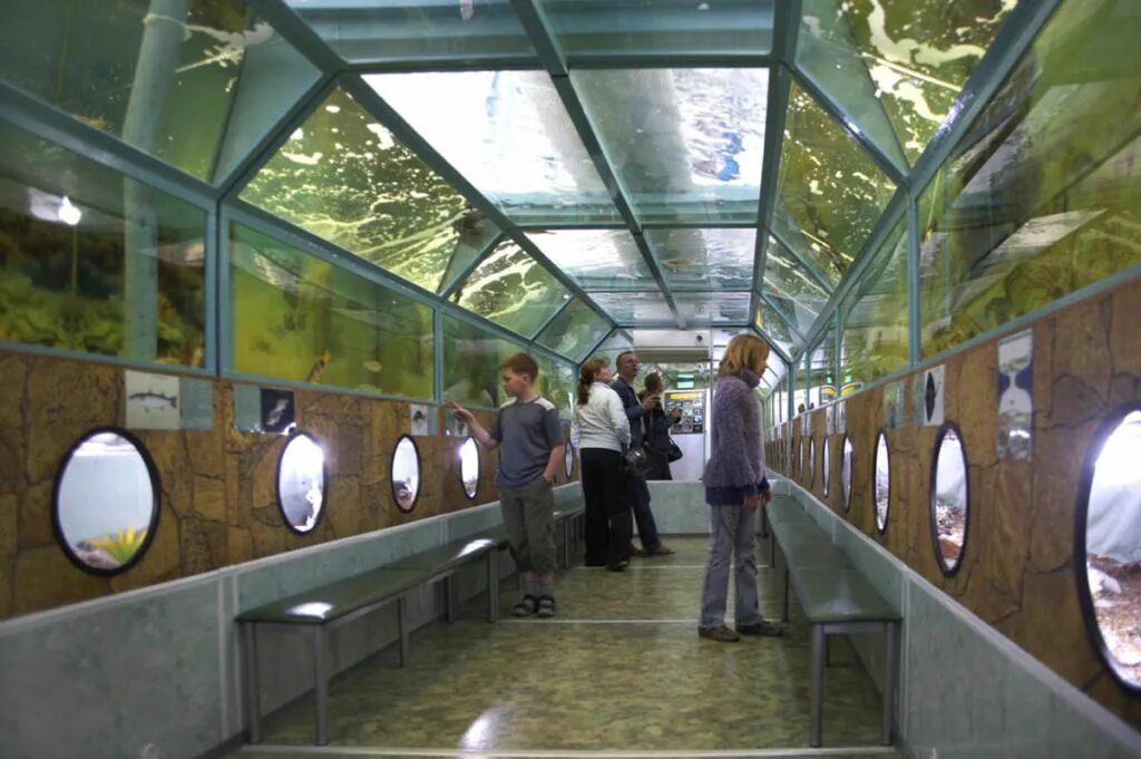 Анапа, океанариум ocean park. Океанариум батискаф анапа. Океанариум риф анапа. Морской аквариум «батискаф». Тоннельный океанариум.
