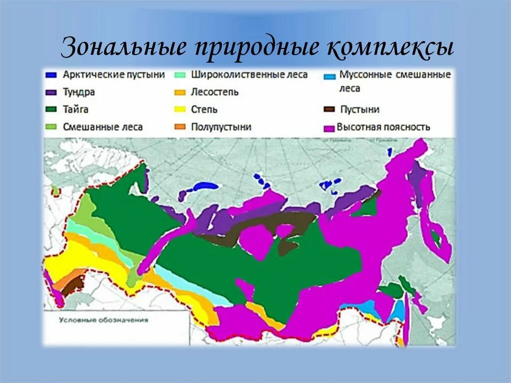 Чем отличаются зональные природные комплексы от зональных. Зональные природные комплексы. лен природная зона. примеры зональных природных комплексов. локальные природные комплексы.