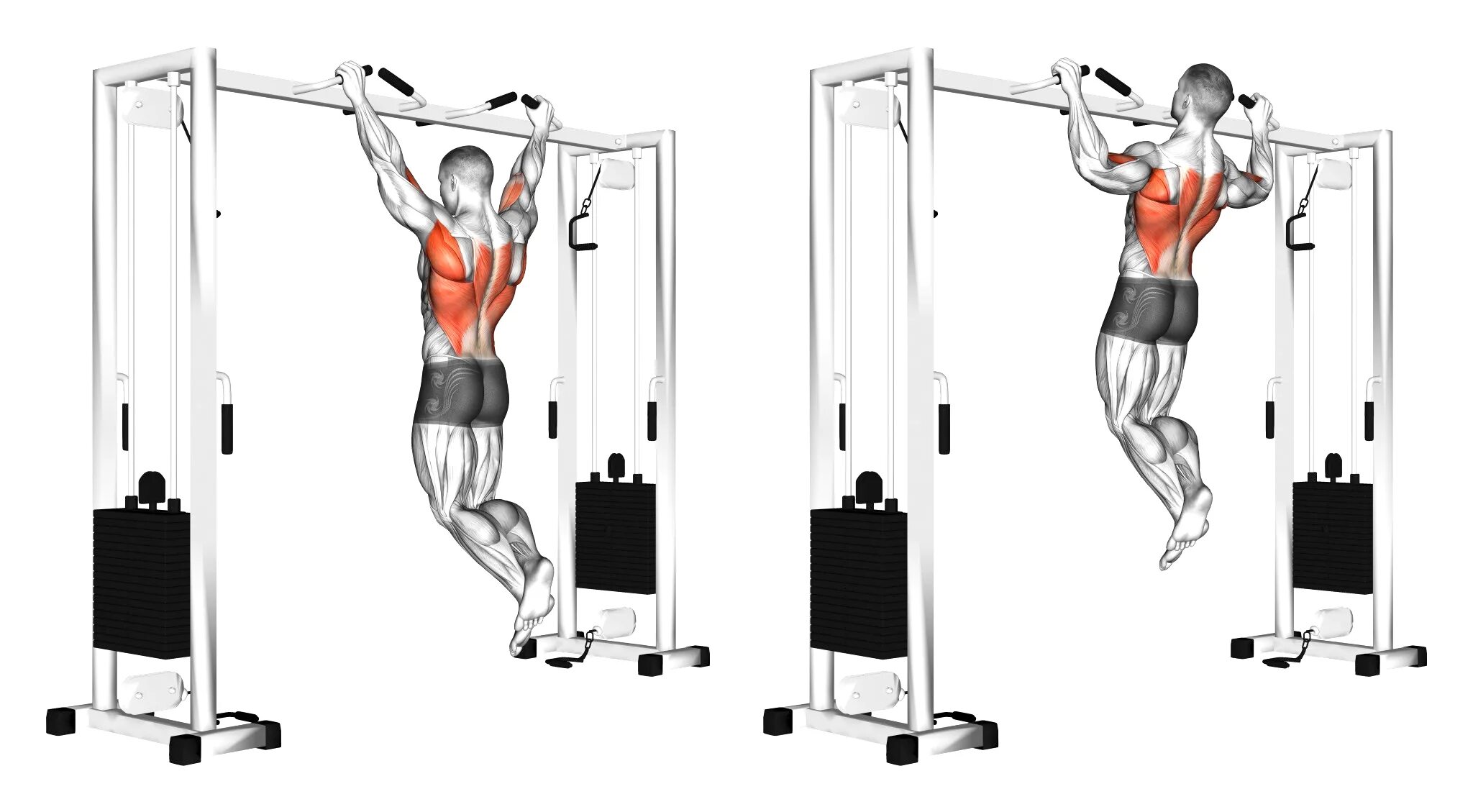 Подтягивания на турнике широким хватом. Подтягивания (pull-ups):. подтягивания в гравитроне. подтягивания в гравитроне узким хватом. подтягивания широким хватом.