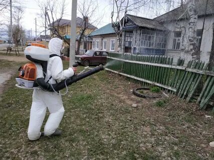 Рязань рязанская область коронавирус