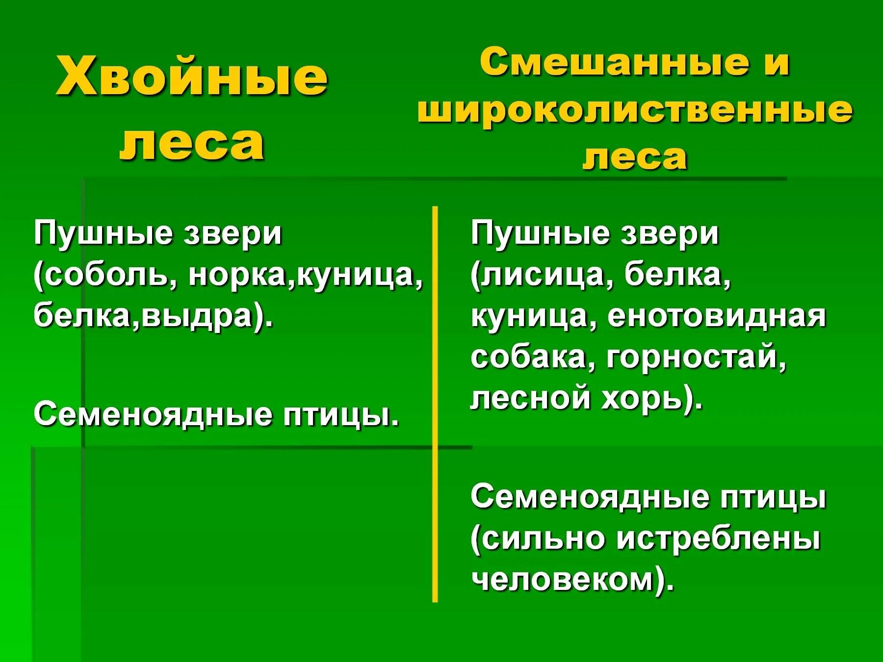 Описание смешанных и широколиственных лесов по плану. Смешанные широколиственные хвойные леса таблица. Хвойные и лиственные леса сравнение. Таблица лиственных и хвойных лесов. Хвойные лиственные и смешанные леса.