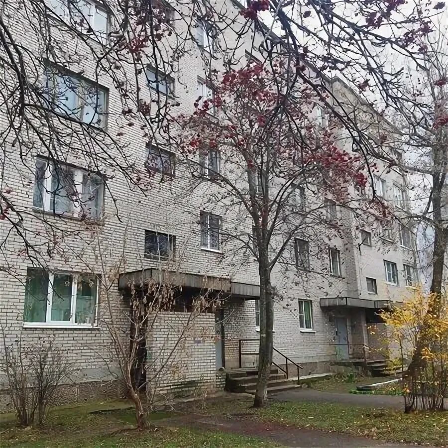 Ул молодежная 23
