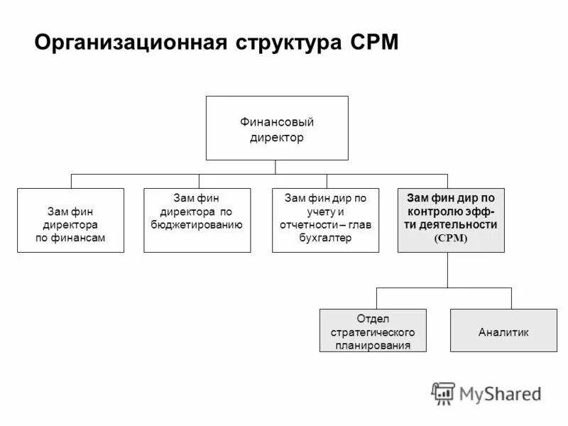 Директор и генеральный директор отличия. Организационная структура магазина. Оргструктура магазина. Финансовый директор в структуре предприятия.