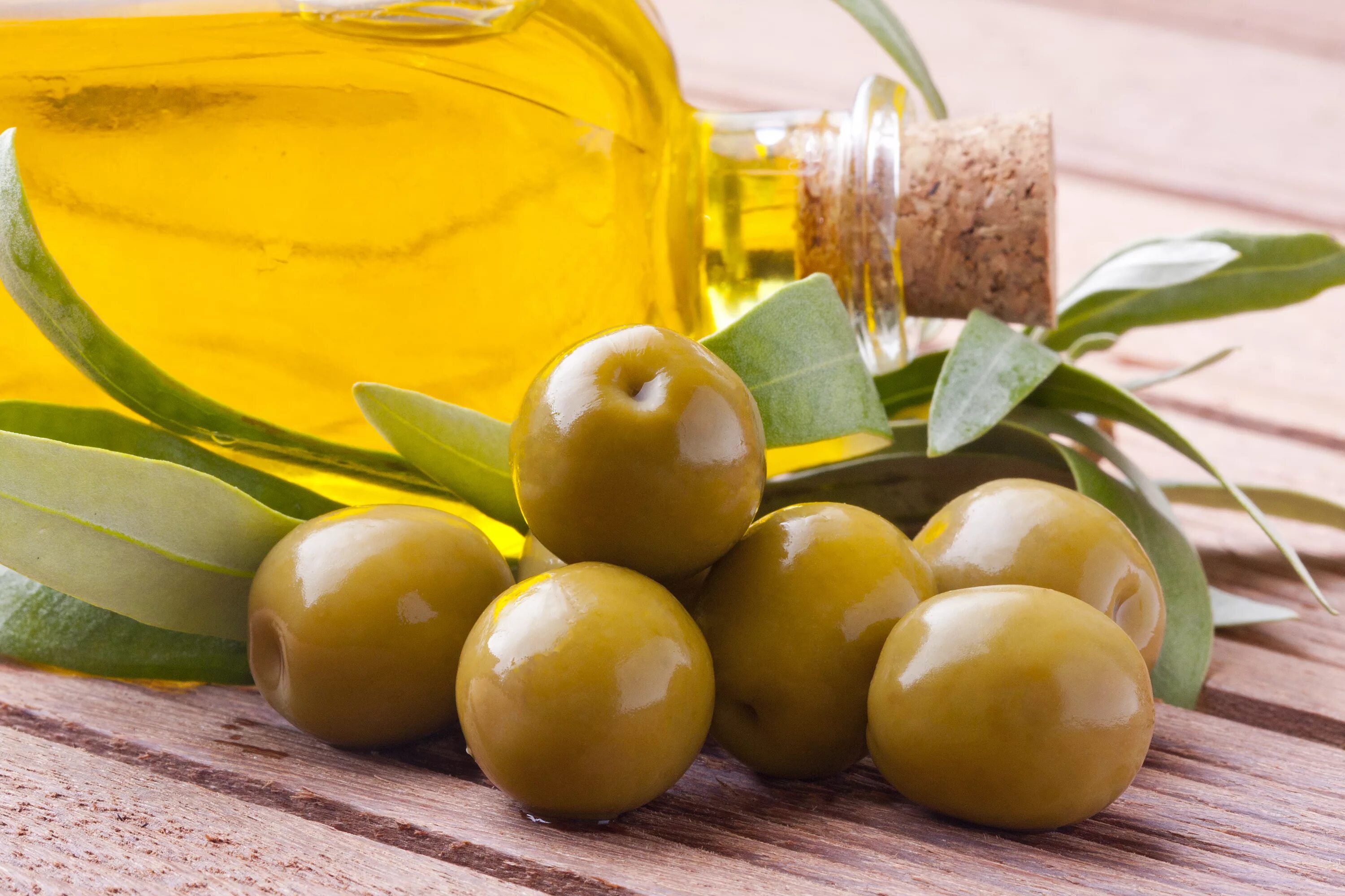 Оливковое масло. Оливки масло. Оливковое дерево маслом. Оливки фото. Вода и оливковое масло