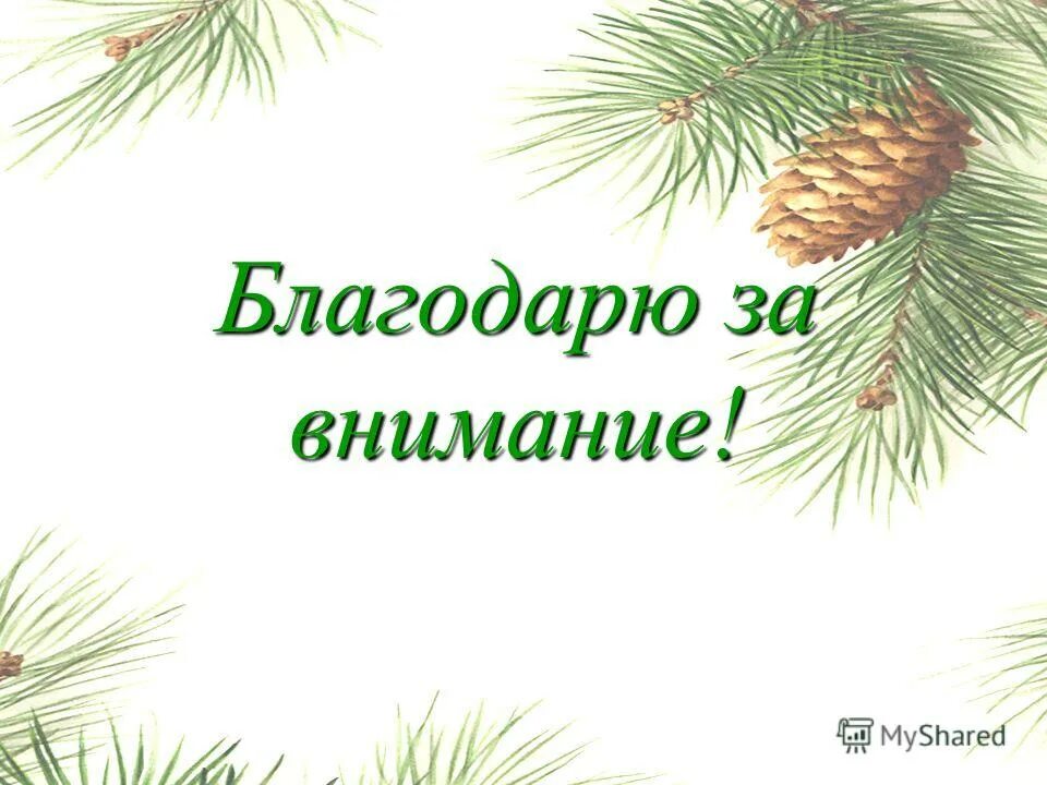 Центр развития дополнительного образования детей иркутск. Центр развития дополнительного образования детей иркутск. Центр развития дополнительного образования детей иркутск. Центр развития дополнительного образования детей иркутск. Сертификат конкурс чтецов.