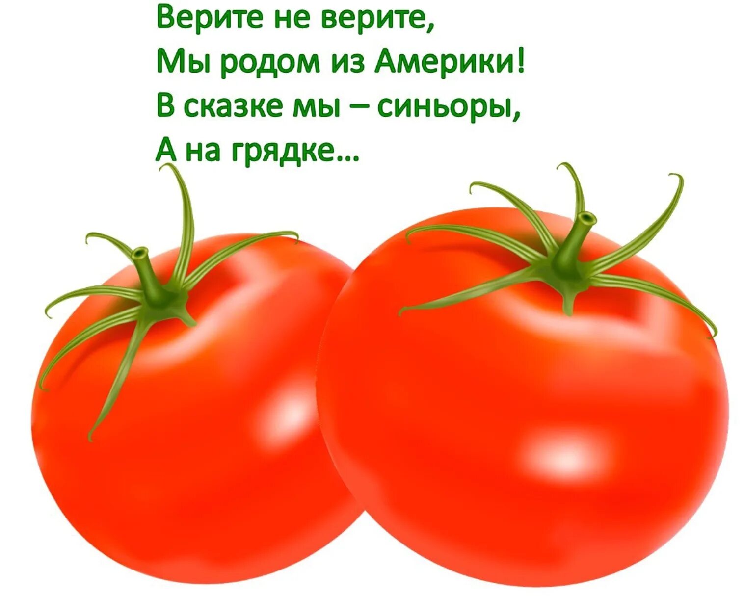 Картинки загадки. Загадки с грядки. Загадки про овощи. Загадка про помидор. Загадка про помидор для детей.