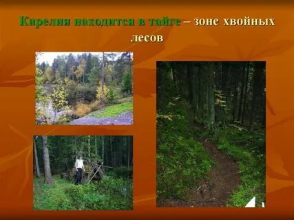 Эта республика находится в зоне тайги
