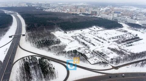 Северное города одинцово раскинулся подушкинский лес