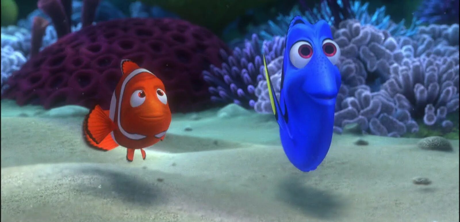В поисках немо марлин 2003. Сосед немо. Finding nemo (2003). В поисках немо 2003. Кит немо.
