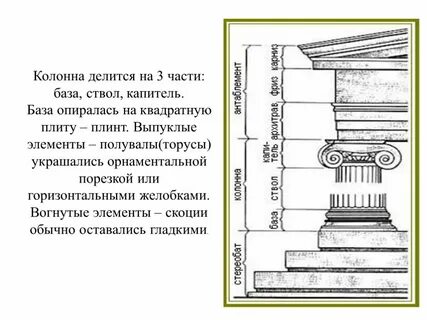 Желобок на колонне 9 букв