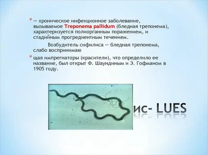 Бледная трепонема болезнь