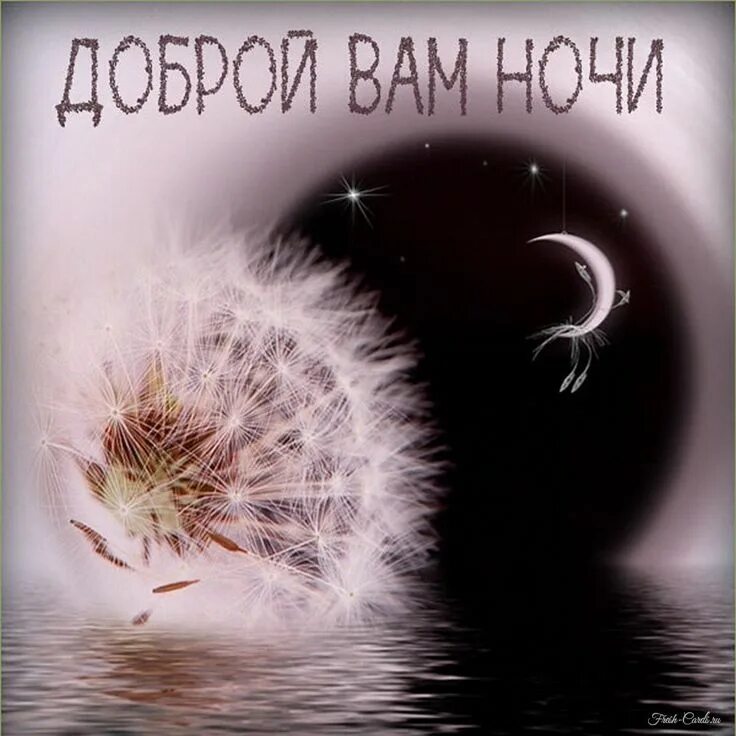 Спокойной ночи на чёрном фоне надпись. Доброй спокойной ночи. Доброй спокойной ночи. Сладких снов котенок. Я ушла спокойной ночи.