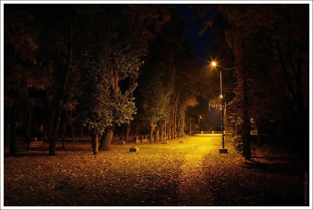 Утренний рассвет. Осенью быстро смеркается. Осенний рассвет. Осенью быстро смеркается. Осенний рассвет.