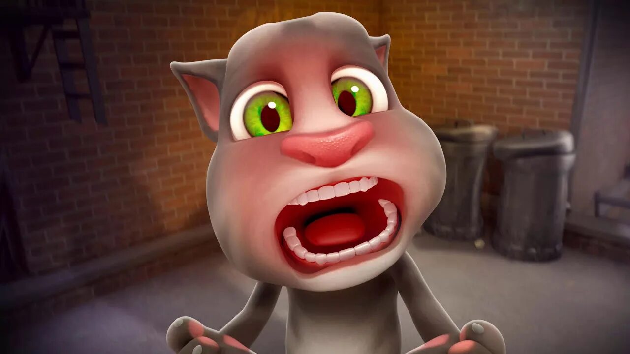 Правда о говорящем томе. Talking Tom. Том говорящий том. Talking Tom 2. Говорящий том перец.