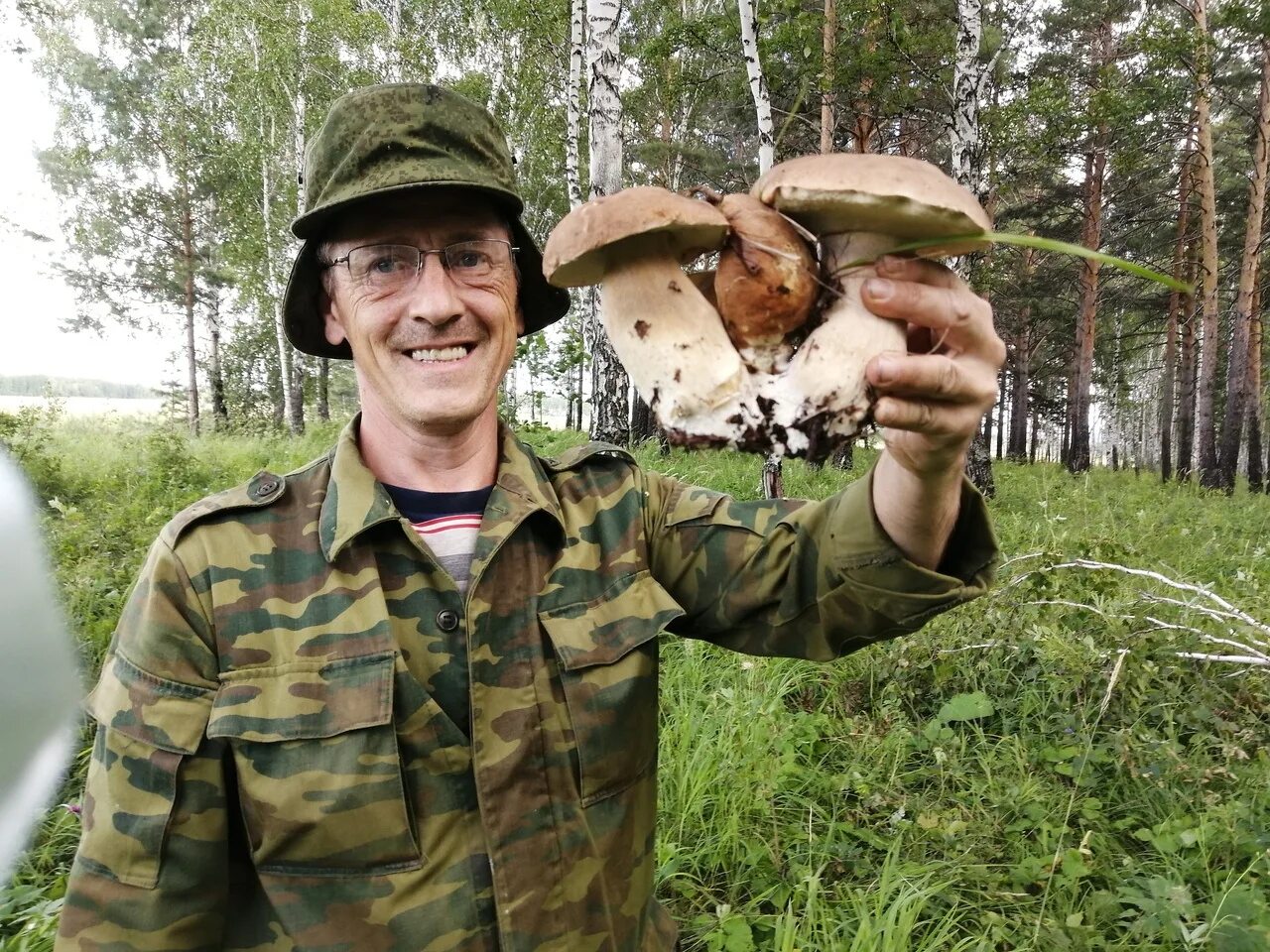 Тихая охота. Тихая грибная охота. Любимая тихая охота. Тихая охота фото. Любимая тихая охота.