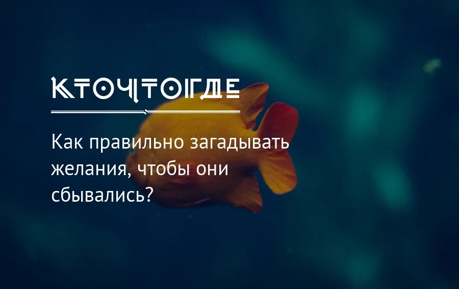 Чтобы желания сбывались надо. День загадывания желаний. Как правильно загадать желание. Как правильно загадывать желание чтобы оно сбылось. Высказывания по загадывания желаний.