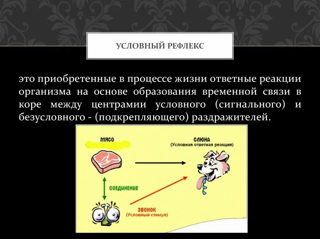 Условный рефлекс. Стимул это условный рефлекс. Условные рефлексы это рефлексы. Условные рефлексы примеры. Какой рефлекс у человека является условным