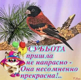 Последние выходные апреля