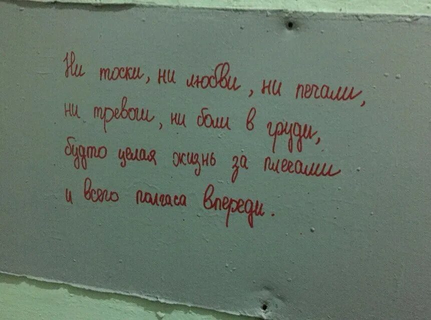 Ни тоски. Не любви не тоски Бродский. Ни любви ни тоски ни жалости Бродский. Стихотворение Бродского ни тоски ни любви ни печали. Стихи Бродского ни тоски ни любви ни.