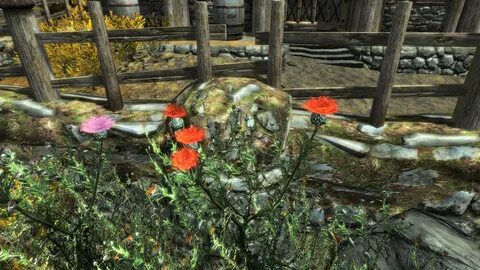 Skyrim plants