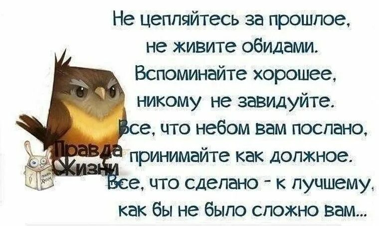 Обиды припомню. Жизнь хорошо и жить хорошо. Пусть все плохое останется. Не живите обидами вспоминайте хорошее. Пусть все плохое останется в прошлом году.