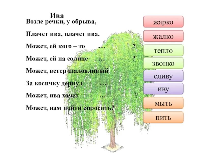 Художественное слово про иву. Плачет ива текст. Ива описание для детей. Стихотворение про иву. Токмакова ива.