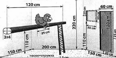 Чертежи насест несушкам своими руками