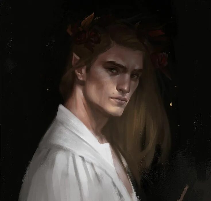Ризанд кшир. Acotar. Ризанд кшир. Тамлин королевство шипов. Acotar.