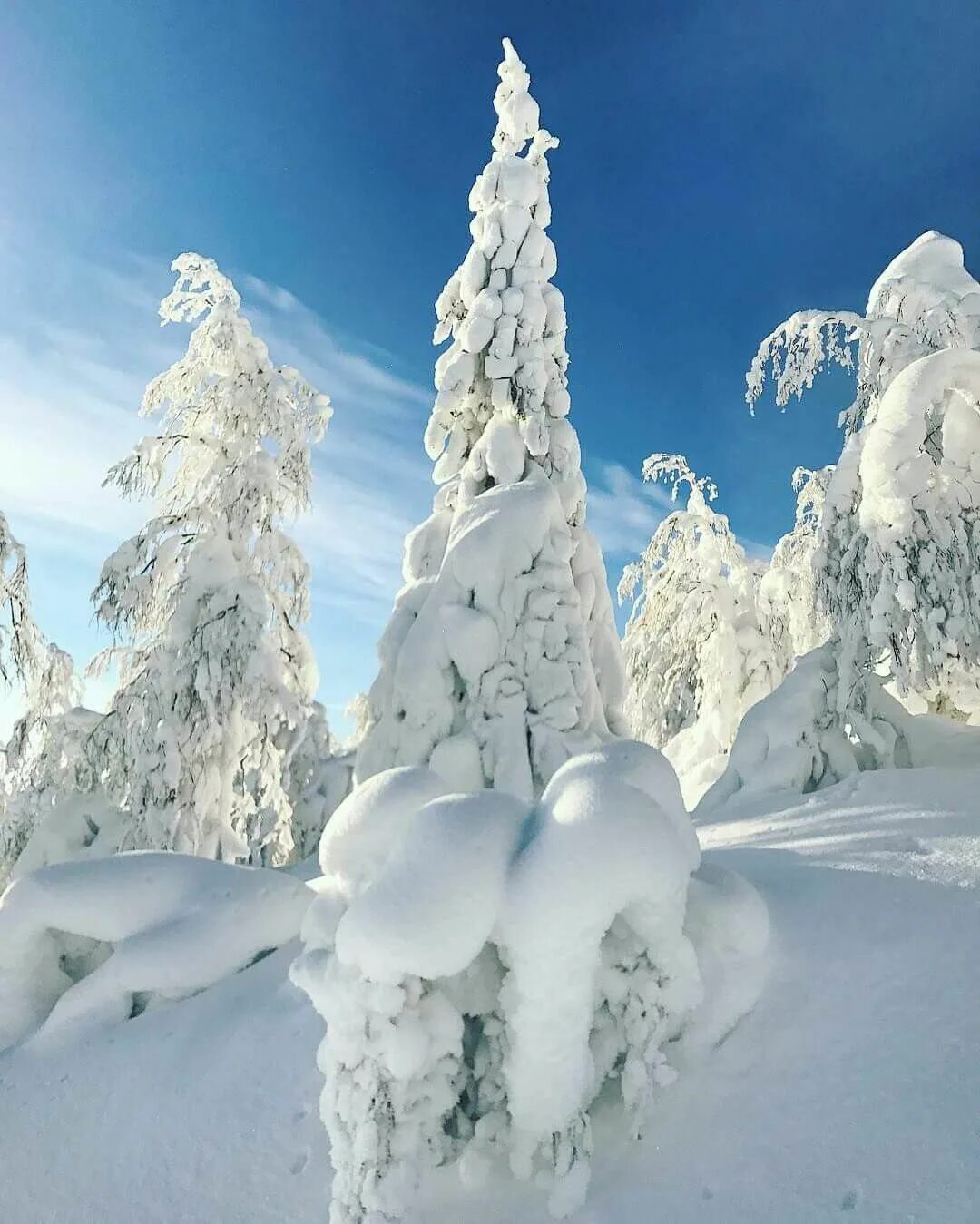 Снежная зима. Сугробы зимой. Снежная природа. Снежный пейзаж. Сугроб картина