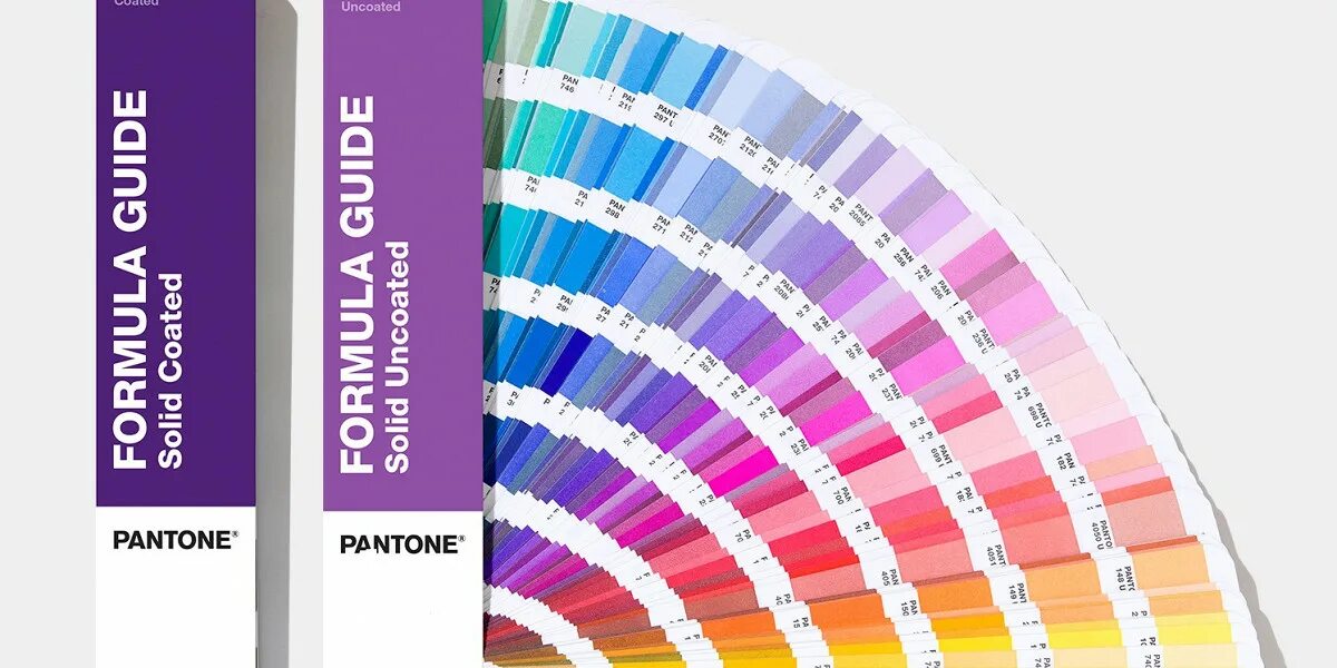 Институт цвета пантон. Институт цвета Pantone палитра. Институт цвета Pantone 2020. Институт пантон цвет года. Pantone mushroom