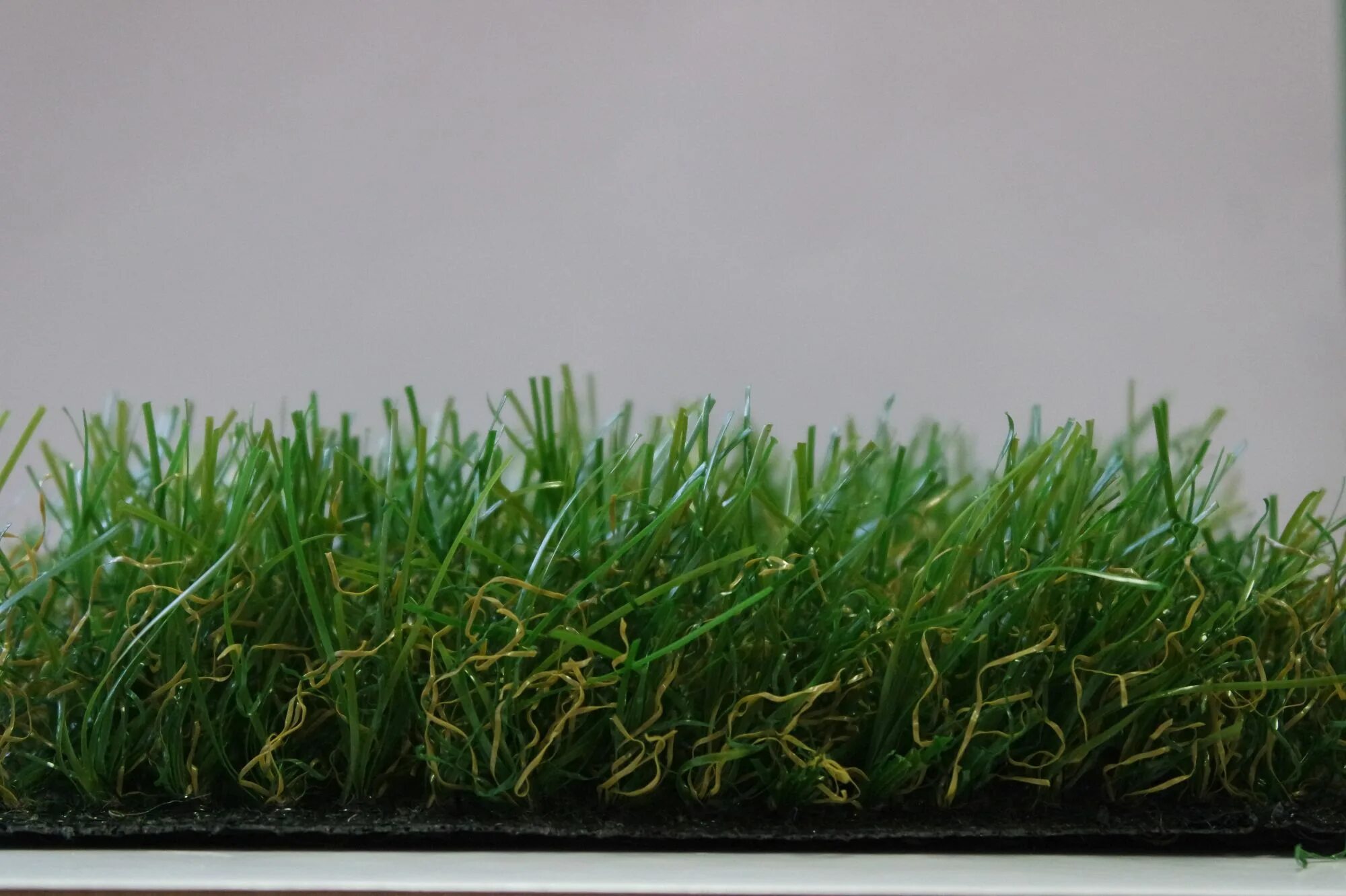 Трава зеленее содержание. Красивый газон. Рулонный газон 0. Трава зеленее содержание. Газонная трава полевица побегоносная.