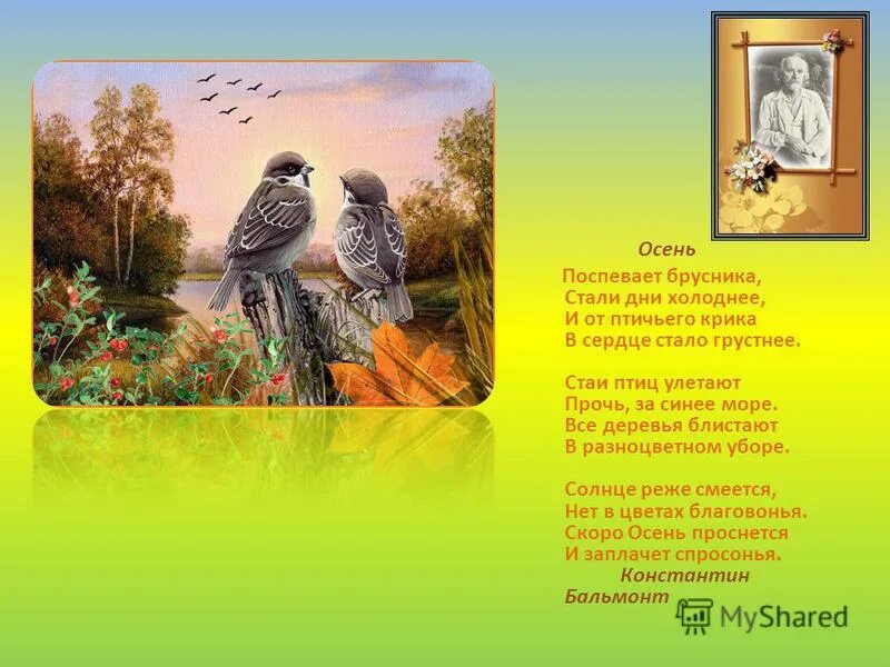 улетают прочь за синее море