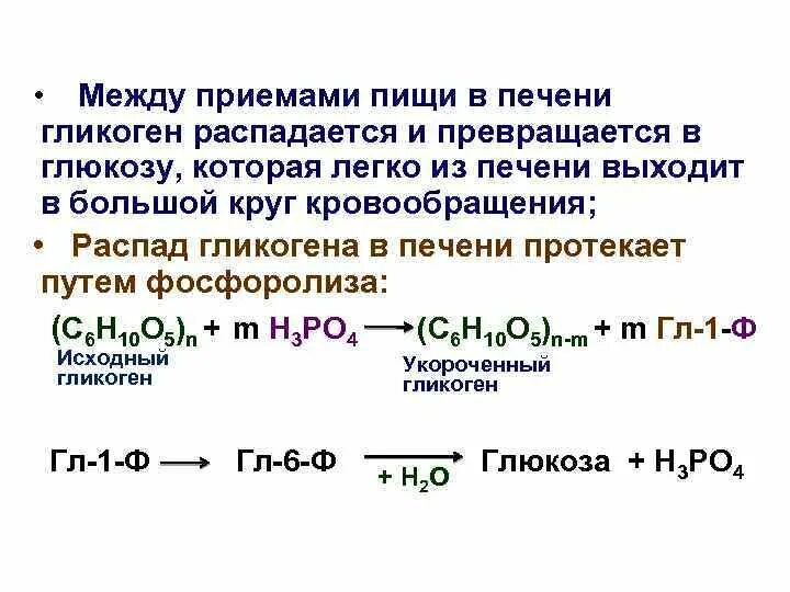 Превращение в печени гликогена в глюкозу. Продукты гидролиза гликогена. Гидролиз гликогена. Гидролиз гликогена в кислой среде. Фосфоролиз гликогена в печени.