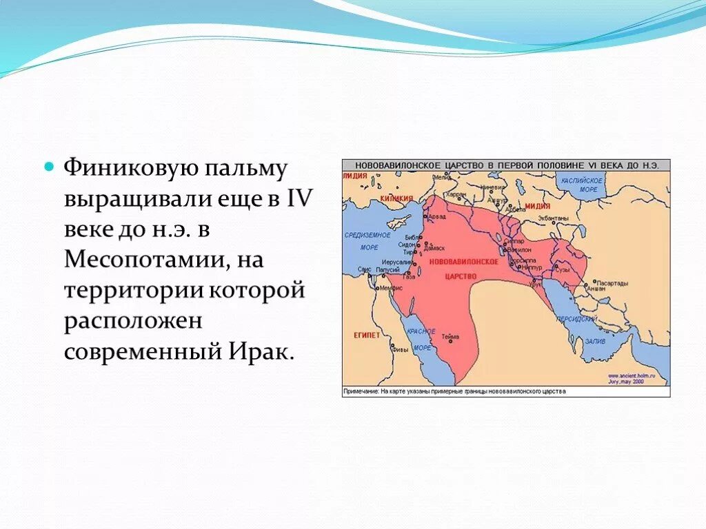 Фиников карта. Нововавилонское царство карта. Карта распространения пальм. Финиковая Пальма в Месопотамии. Ареал финиковой пальмы карта.