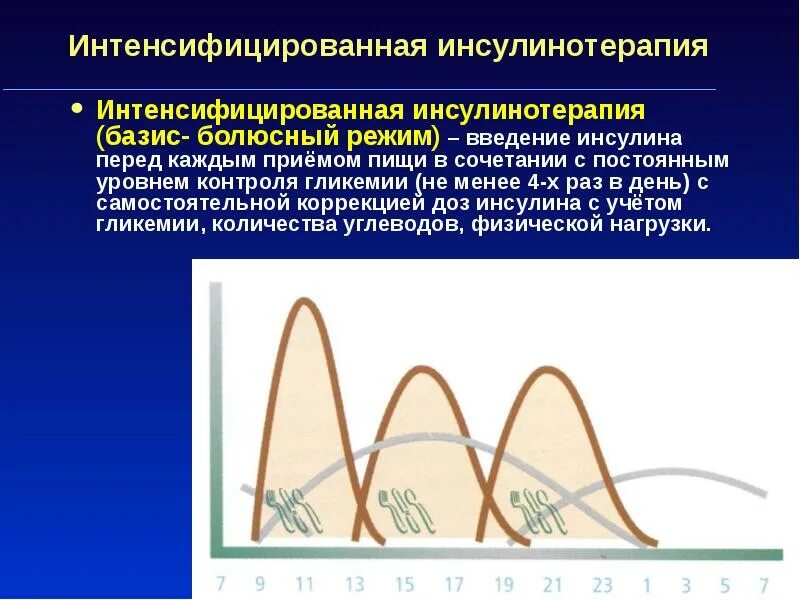Базис болюсная. Интенсифицированная инсулинотерапия. Интенсифицированная схема инсулинотерапии. Базис болюсная инсулинотерапия. График инсулинотерапии.