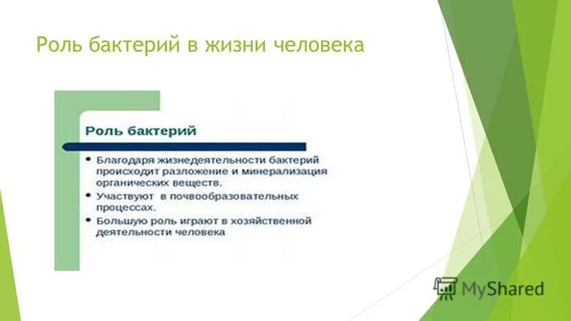 бактерии в хозяйственной деятельности человека