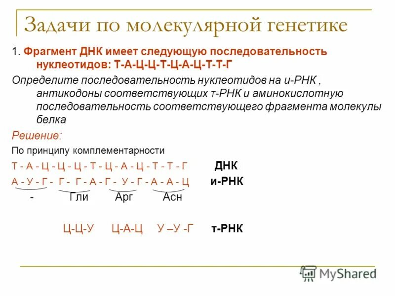 Решение задач по генетике 10 класс биология. Задачи на Цепочки ДНК И РНК. Задачи по биологии 10 класс ДНК И РНК С решением. Задачи на ДНК И РНК С решением. Задачи по биологии на ДНК И РНК С решением.