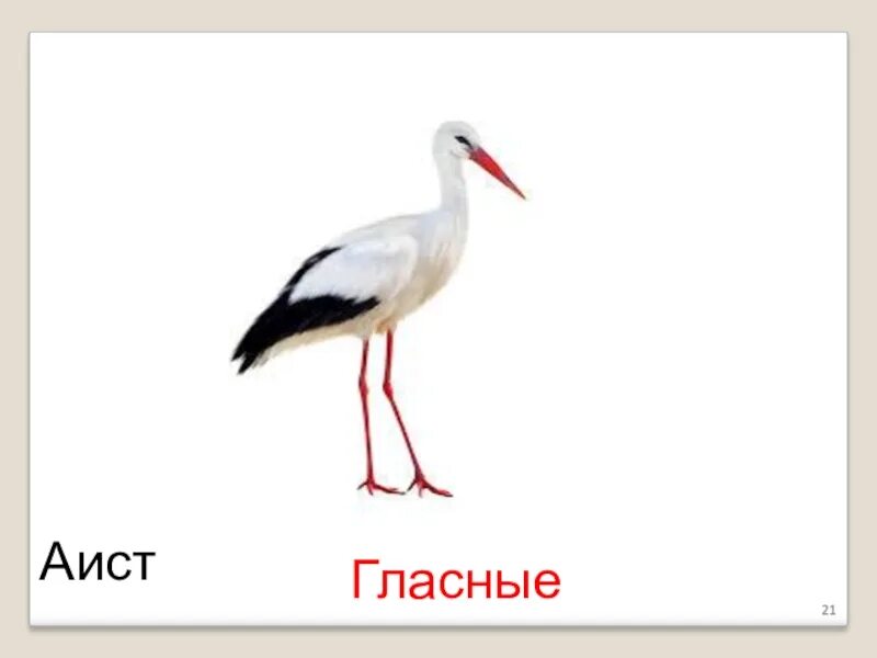 Аист количество звуков. Аист звуковая. Звуки аиста. Аист звуки и буквы. Аист гласный звук.