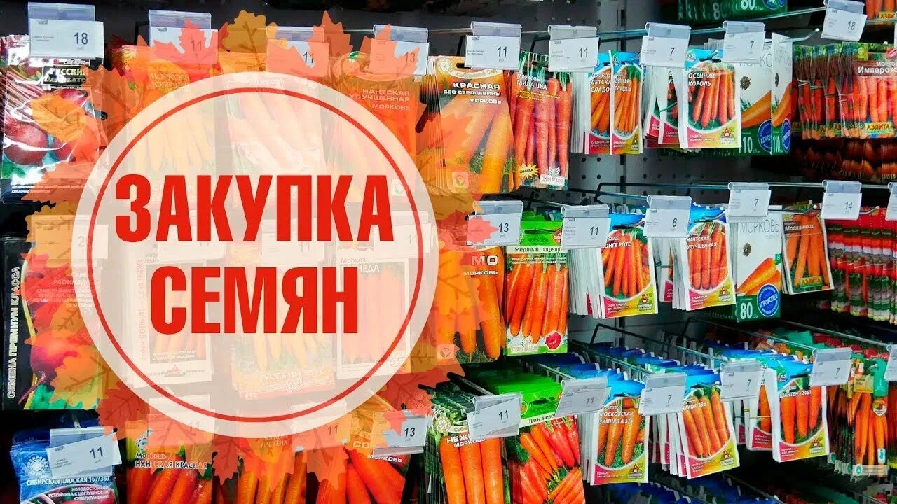 Реклама магазина семян. Новое поступление семян. Семена реклама для магазина. Семена надпись.