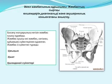 Дебаучер аралы мобильді ойыны