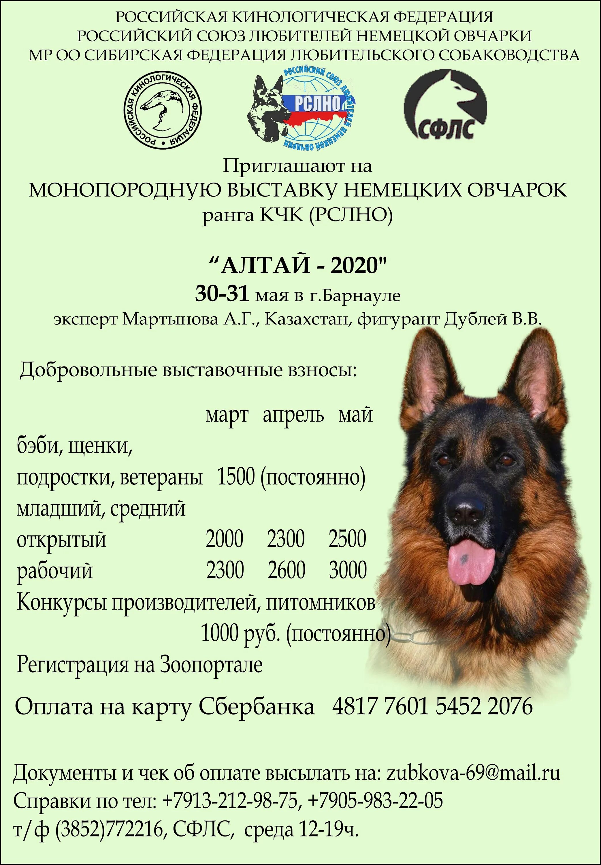 Сколько есть немецкая овчарка в день. Вес щенка немецкой овчарки в 3 месяца. Рацион питания для собак немецкой овчарки. Собака овчарка паспорт. Вес 2 месячного щенка немецкой овчарки.