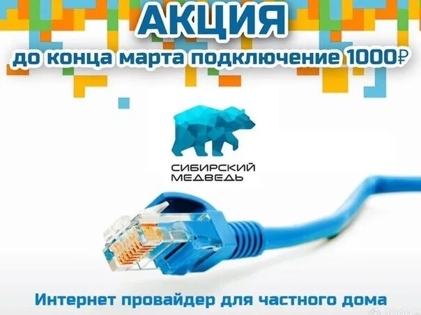 Проблемы с интернетом сибирский медведь. Интернет-провайдер сибирский медведь. сибирский медведь интернет. интернет тв сибирский медведь. тарифные планы сибирский медведь.