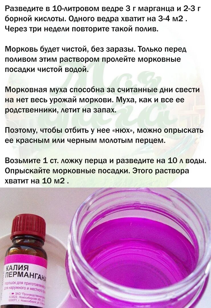 Раствор марганцовки в воде. Раствор марганцовки для прижигания. Раствор марганцовки для моркови. Цвет раствора марганцовки для ванночки. Развести марганцовку для обработки.