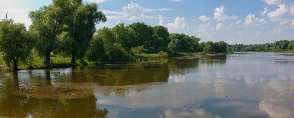 Великая березка. Село Великий Самбор Сумская область. Село Великий Самбор Конотопский район. Село Мельня Конотопский район. Великая Березка Сумская область.