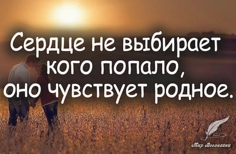 Ощущение что человек родной