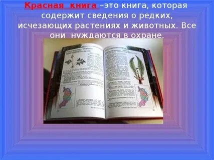 Красная книга это книга которая содержит сведения