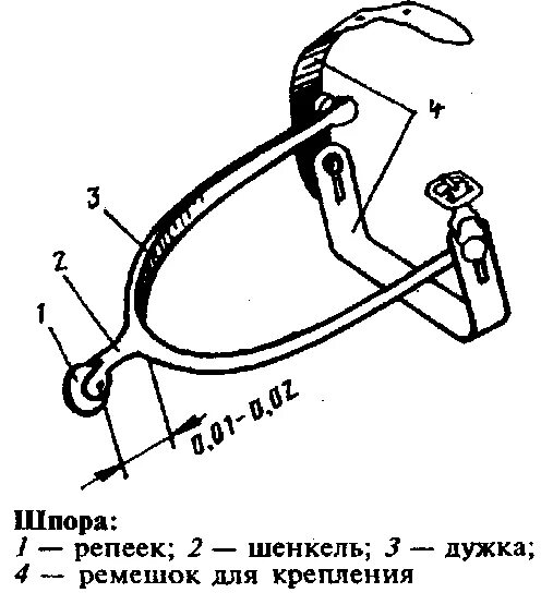 Дужка с колесиком служащая для понуждения коня. Конное седло northland. Преимущества верховой езды. Лошадь в правильном сборе схема. Шпоры металлическая дужка.
