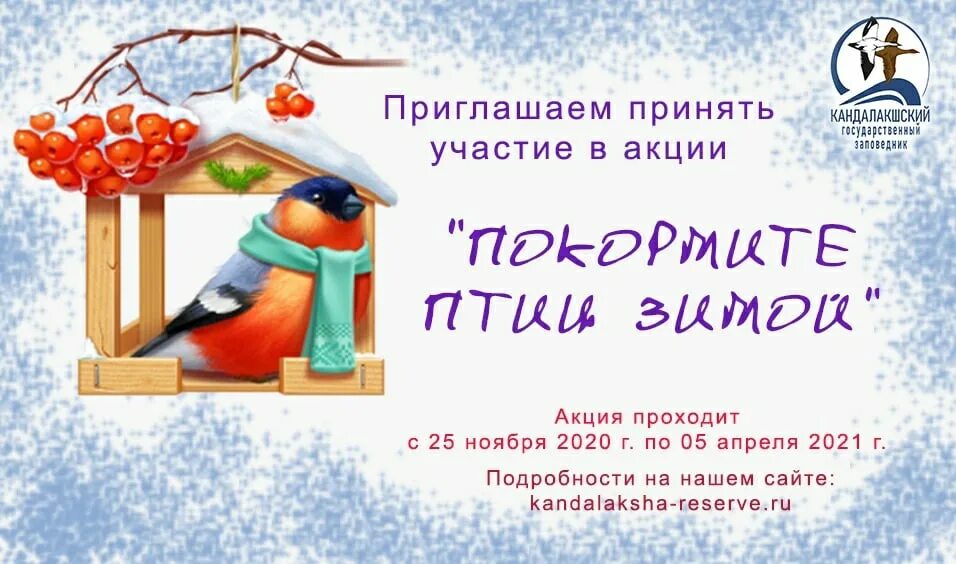 Покормите птиц зимой в детском саду отчет. Акция покормите птиц зимой в детском саду объявление для родителей. Беседа покормите птиц зимой. Акция покормите птиц зимой. Покормите птиц хз имой.