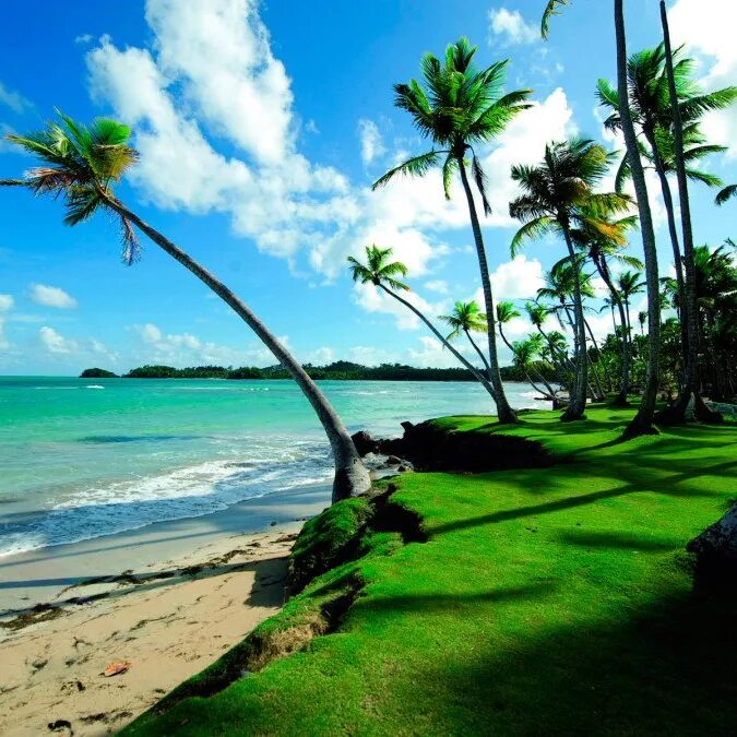 Шри Ланка океан. Море пляж. Тропический пляж. Тропики пляж. Страховка шри ланка