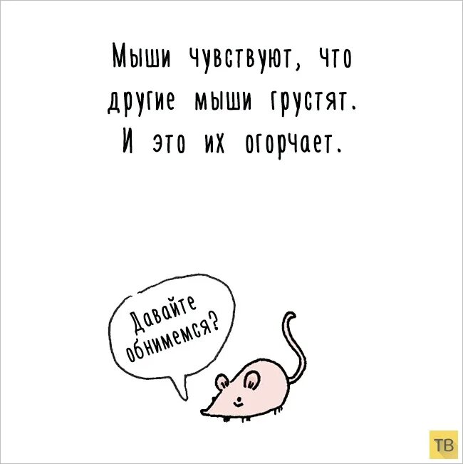 Выражение мышь